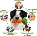 Durable Squeaky Rubber Carrot Toy for Dogs