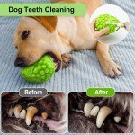 Rubber Squeaky Chew Toys for Dental Health