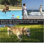 Indestructible Squeaky Chew Toys for Aggressive Dogs