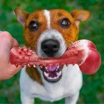 Indestructible Chew Toys for Aggressive Large Breeds