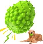 Rubber Squeaky Chew Toys for Dental Health