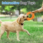 Indestructible Chew Ring Toy for Aggressive Dogs
