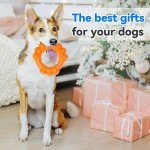 Indestructible Chew Ring Toy for Aggressive Dogs