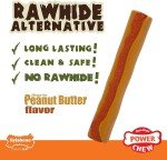 Nylabone Power Chew X-Large Rawhide Alternative