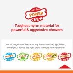 Nylabone Durable Femur Bone Power Chew Toy