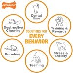 Nylabone Durable Femur Bone Power Chew Toy