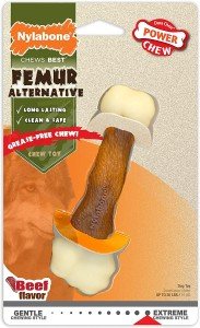 Power Chew Femur Bone Nylon Dog Chew Toy