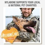 Nylabone Durable Femur Bone Power Chew Toy
