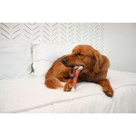 Durable Femur Bone Rawhide Alternative Dog Toy