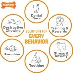 Power Chew Femur Bone Nylon Dog Chew Toy