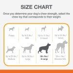 Durable Nylabone Power Chew Dog Toy