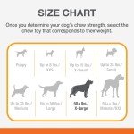 Durable Femur Bone Rawhide Alternative Dog Toy