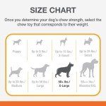 Durable Nylon Chew Toy for Aggressive Dogs