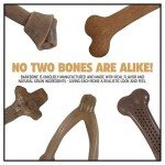 Durable Nylon BarkBone for Aggressive Chewers