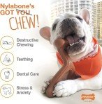 Nylabone Dental Power Chew Toy for Strong Dogs