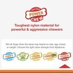 Nylabone Dental Power Chew Toy for Strong Dogs