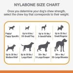 Nylabone Dental Power Chew Toy for Strong Dogs