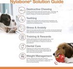 Nylabone Dental Power Chew Toy for Strong Dogs