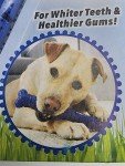 Dental Rubber Bone Toy for Dogs - BPA-Free