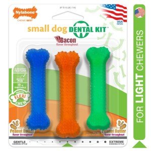 Nylabone Peanut Butter Bacon Dog Chew Toys