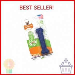 Nylabone Textured Chicken Flavor Dental Chew Toy