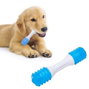Gentle Chewer Puppy Dental Teething Toys