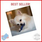 Nylabone Textured Chicken Flavor Dental Chew Toy