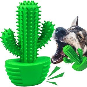 Dental Chew Toy for Medium and Large Dogs