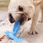 Natural Rubber Dog Toothbrush Chew Toy