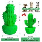 Dental Chew Toy for Medium and Large Dogs