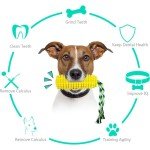 Indestructible Rubber Dental Chew Toys for Dogs