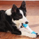 Gentle Chewer Puppy Dental Teething Toys