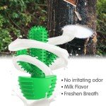 Dental Chew Toy for Medium and Large Dogs