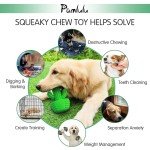 Dental Chew Toy for Medium and Large Dogs