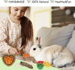 21PCS Natural Rabbit Chew Toys for Dental Health