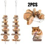 2-Pack Natural Bunny Chew Toys for Dogs