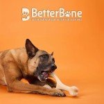 Durable All-Natural Dog Chew Toys for Powerful Chewers
