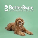 Natural Nylon-Free Chew Toys for Dogs