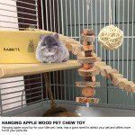 2-Pack Natural Bunny Chew Toys for Dogs