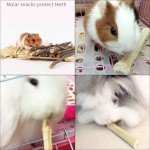 Sweet Bamboo Molar Chew Sticks for Dogs