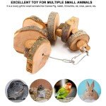 Natural Apple Wood Chew Sticks for Dogs
