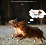 Indestructible Dog Chew Toys for Aggressive Chewers