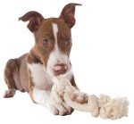 Natural Cotton Rope Dog Toy - Mammoth Flossy Chews