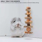 2-Pack Natural Bunny Chew Toys for Dogs
