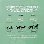 Natural Nylon-Free Chew Toys for Dogs