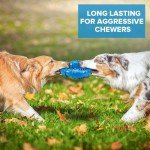 Durable Chew Toys for Aggressive Large Breed Dogs