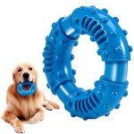 Durable Chew Toys for Aggressive Large Breed Dogs