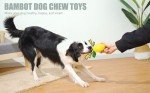All-Natural Rubber Puffer Fish Dog Chew Toy