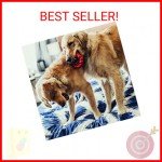 Natural Rubber Chew Toy for Healthy Dog Teeth