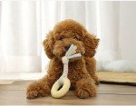 All-Natural 5-Piece Chew Toys Set for Dogs